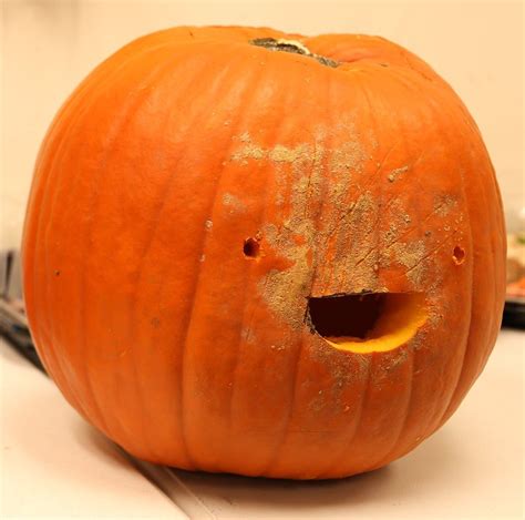 SprinklesAreGross — Pumpkin Carving 🎃