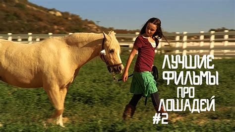 Мультфильмы про лошадей список лучших
