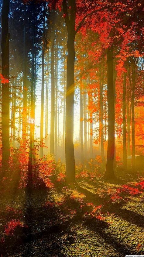 Beautiful Pictures for Computer Screen 的图像结果