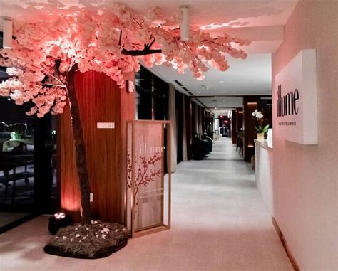 ILLUME, Orlando - Restaurant Reviews, Phone Number & Photos - Tripadvisor