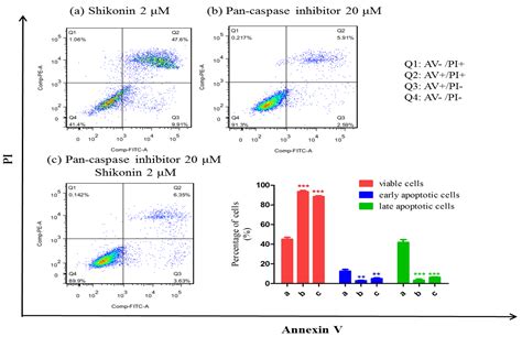 Shikonin Inhibits the Proliferation of Human Lens Epithelial Cells by ...