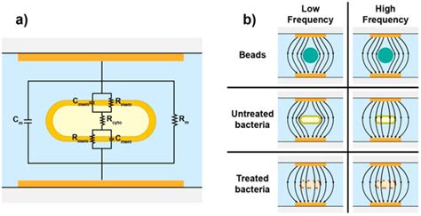 Investigating the Use of Impedance Flow Cytometry for Classifying the ...