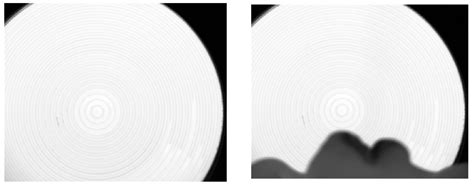 Infrared Gas Detection and Concentration Inversion Based on Dual ...