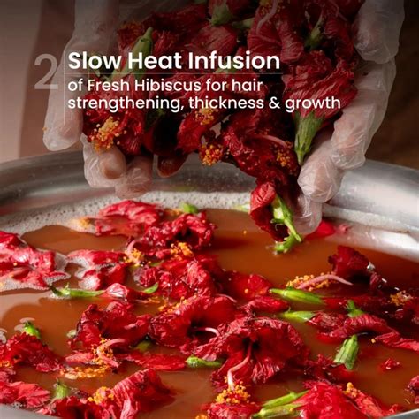 Nat Habit Hibiscus Navdha Shampoo 250ml, Natural Shampoo with Hibiscus ...