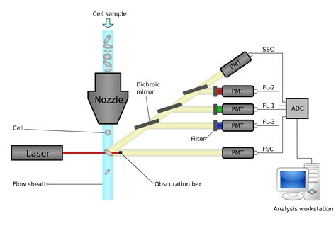 Flow Cytometry Tutorial 的图像结果