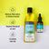 Dandruff & Acne Control Tea Tree Duo – Soulflower.in