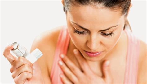 Pigeon Net | PIGEON Nets & Spikes