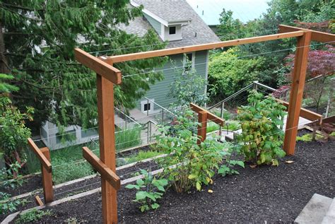 Image result for How to Build Raspberry Trellis