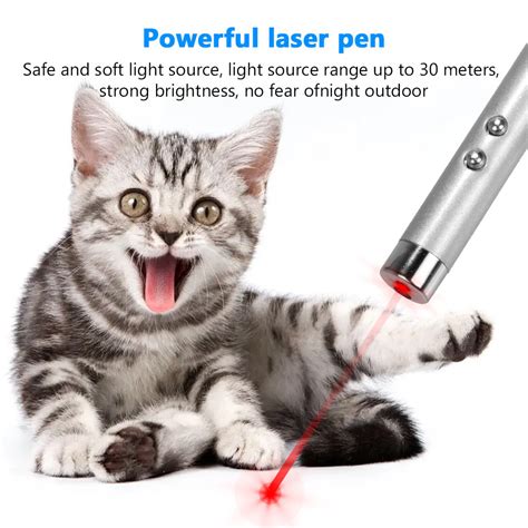 Image result for Laser Pointer Keychain