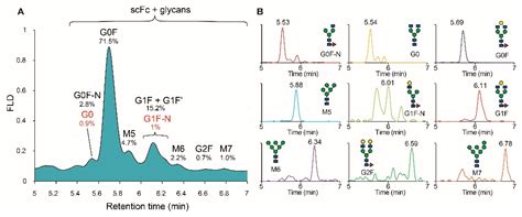 Quantitative N-Glycan Profiling of Therapeutic Monoclonal Antibodies ...