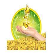 Vim Dishwash Bar Lemon Tub, With Power Of 100 Lemon, Fastest On Burnt ...