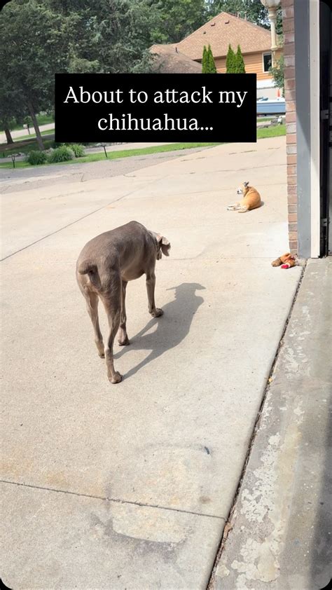 Alyse Schroeder | This is why fisherman have 15 poles with them. It ...