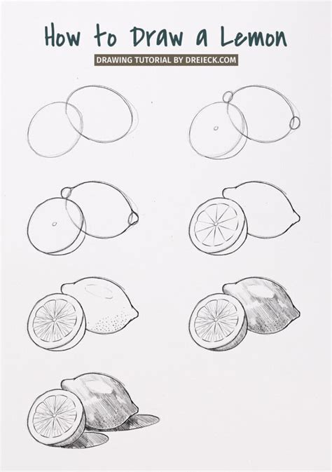 Image result for Simple Inside Lemon Drawing