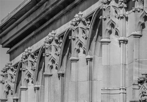 Undergraduate Studies | Salve Regina University