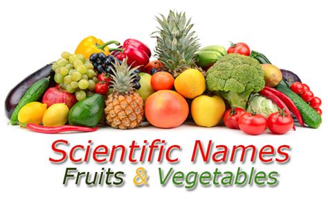 Scientific Name of Animal / Fruit / Vegetables / Flowers