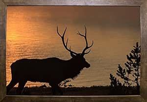 Frame USA Bull Elk at Sunrise Ynp Framed Print 8.5"x12.75" by ...