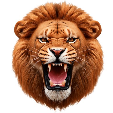 Fierce Roaring Lion Head, Lion, Roar, Power PNG Transparent Image and ...