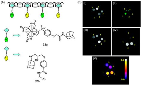 Dual-Mode Tumor Imaging Using Probes That Are Responsive to Hypoxia ...