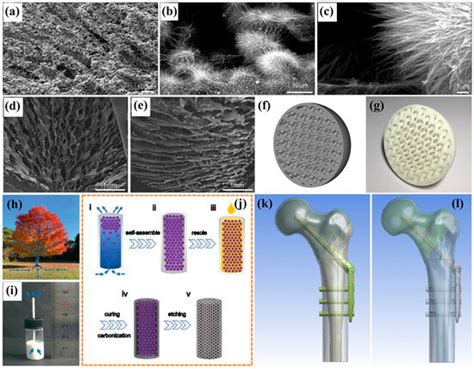 Recent Advances in Biomimetic Porous Materials for Real-World Applications