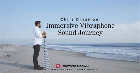 Chris Dingman | Immersive Vibraphone Sound Journey, Roots to Crown, 4 ...