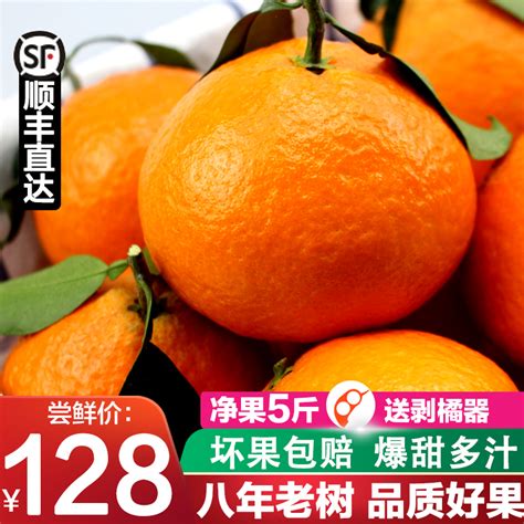 水果橘子果蔬bannerPSD【海报免费下载】-包图网