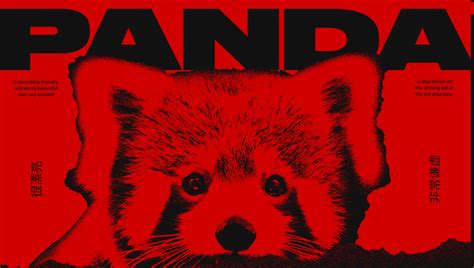 Image Animation Example 的图像结果