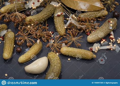 French Cornichon Pickles at Bill Voigt blog