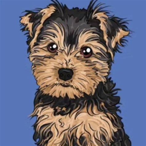 Image result for Small Dog Drawing