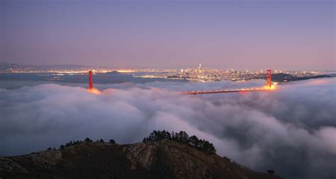 Image result for Website Development Using WordPress