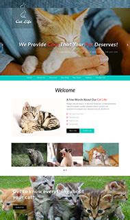 动物模板_动物网页模板下载