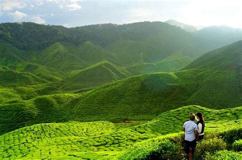 18 Top Things To Do In Assam For An Incredible Experience In 2026