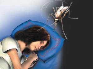 Scientists develop new method to diagnose malaria - The Economic Times