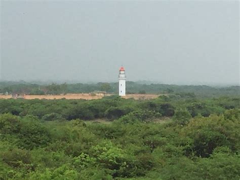 Kodikkarai Wildlife Sanctuary (Point Calimere) (Nagapattinam) - 2021 ...