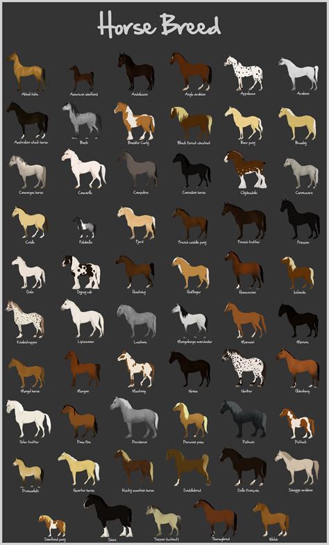 Horse Breeds in Different Colors