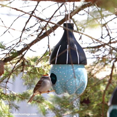 Make a Bird Feeder from 2-Liter Plastic Bottles - The Birch Cottage