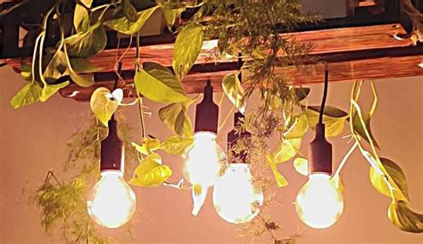 Eco-Friendly Home Decor Products In Delhi | WhatsHot Delhi Ncr