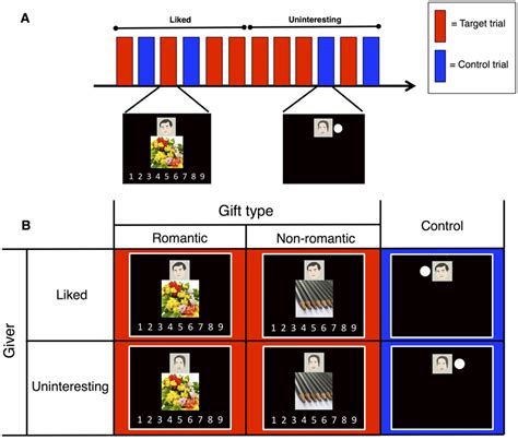 Multiple Object Tracking Task fMRI 的图像结果