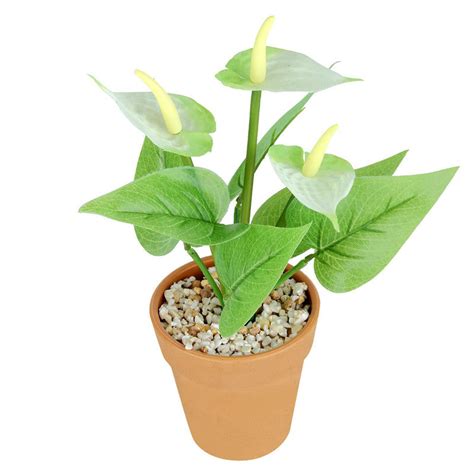 Collections — Wonderland Garden Arts and Craft