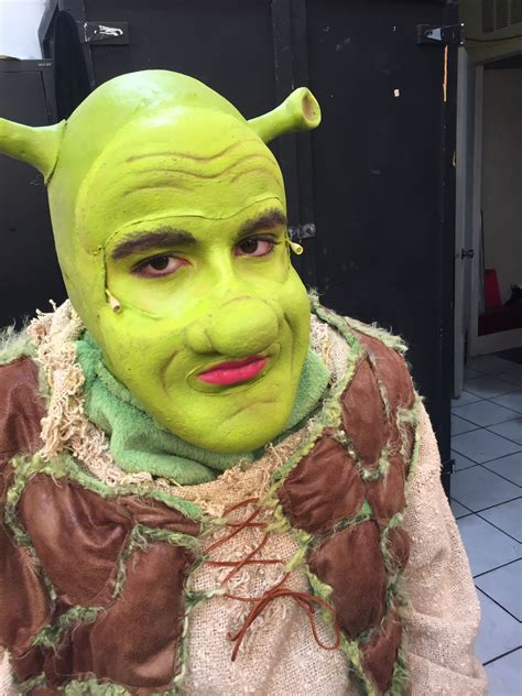 Donkey shrek costume – Artofit