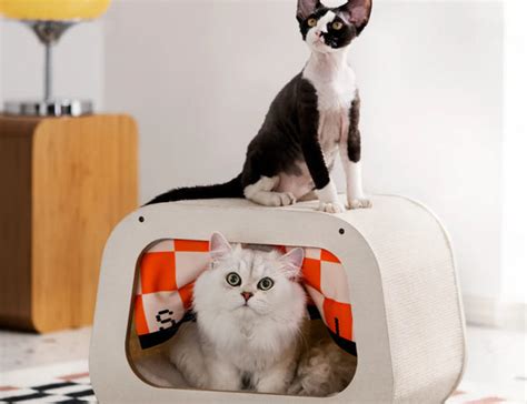 MewooFun Mini TV Cat House – Pawsindia