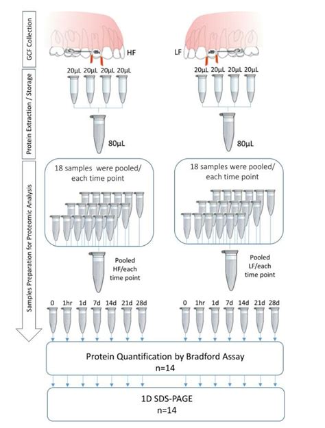 Image result for GCF Study Guide