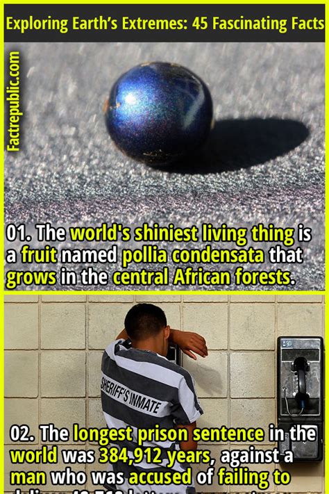 Image result for Random Facts List