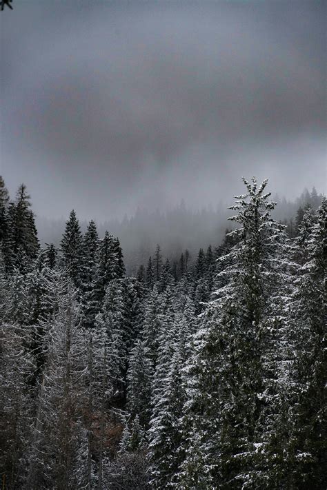 Fog Machine M 5 的图像结果