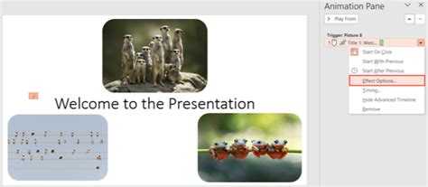 Image result for Conditional Animations PowerPoint