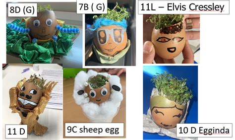 Image result for British Science Week Projects