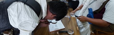 Scholarship for Higher Education and Employability Training for PWD
