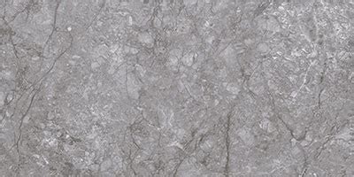 Buy Grey Williams Tile | Ceramic wall - Nitco Tiles & Marble
