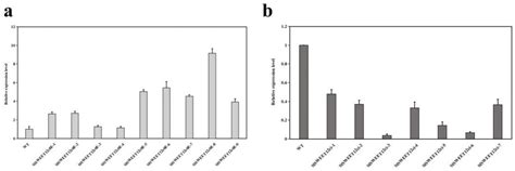 The SlSWEET12c Sugar Transporter Promotes Sucrose Unloading and ...