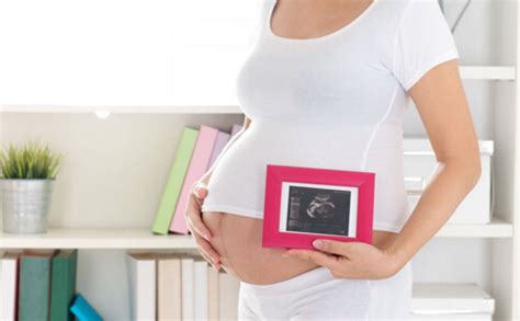 怀孕1-42周3D胎儿超声图全记录---彩图 - 知乎