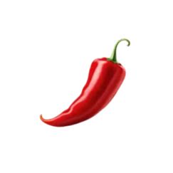 Welcome to BookMyChef’s | We deliver taste, not just food